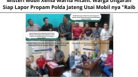 IMG-20250617-WA0006