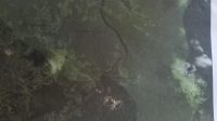 IMG-20250819-WA00601